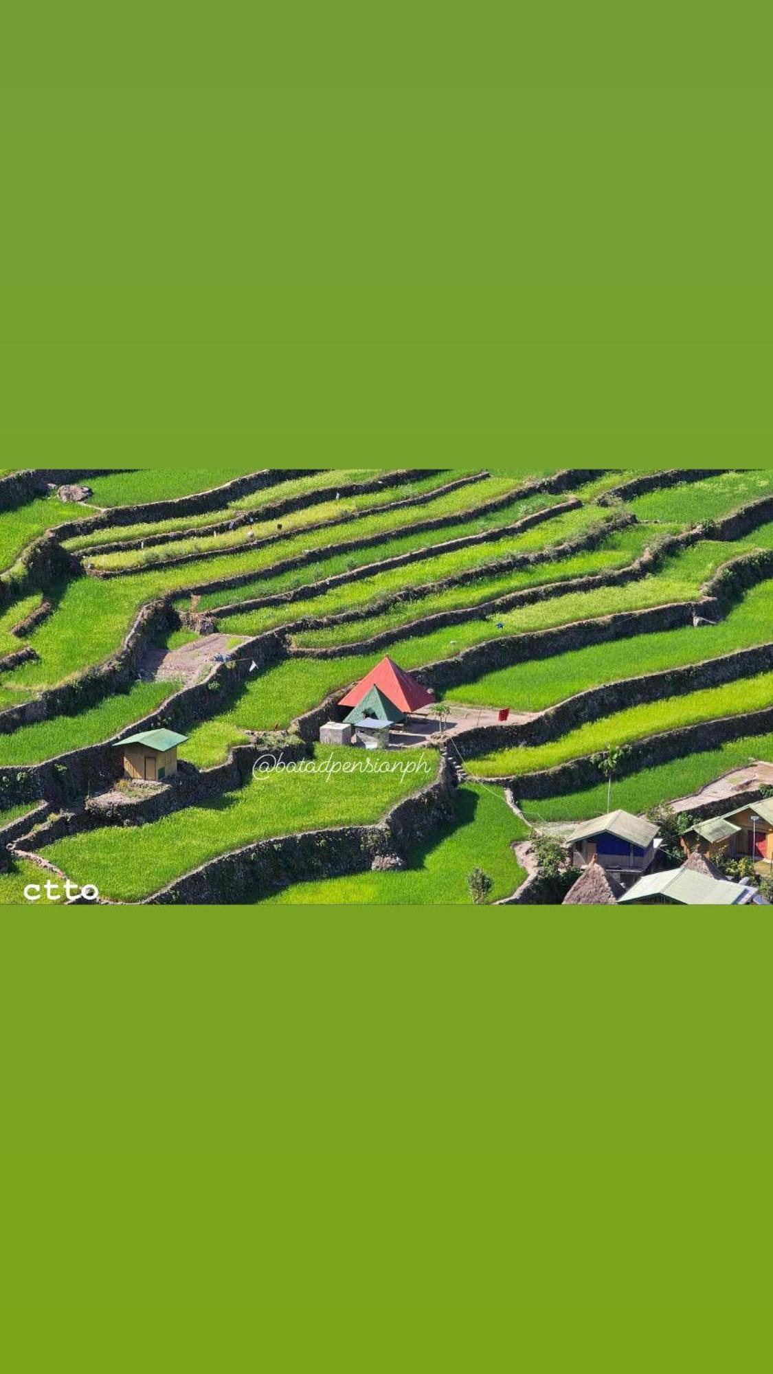 Batad Pension Ph Banaue Extérieur photo