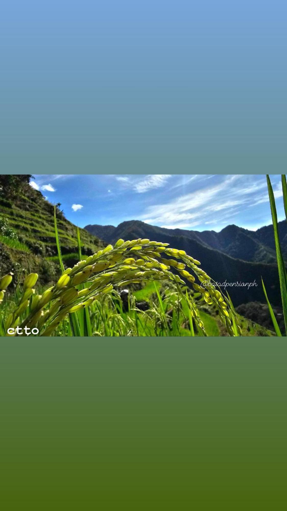 Batad Pension Ph Banaue Extérieur photo